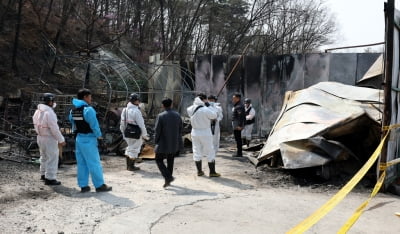 강화 마니산 축구장 30개 면적 잿더미…현장 감식 착수