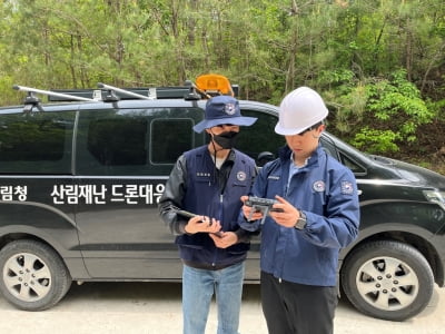 4∼5월 입산객 급증…산림 내 불법행위 집중단속