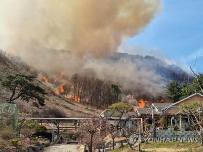 제천 봉황산 불 강풍에 확산…인근 주민 대피령(종합)