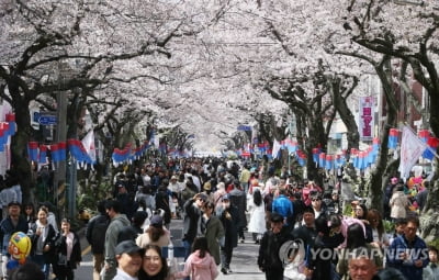 "관광객 증가세 전환"…제주 관광 봄바람 분다
