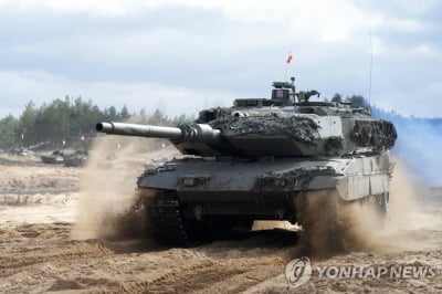 스위스, 독일산 전차 25대 獨에 되팔 듯…의회 위원회 승인권고