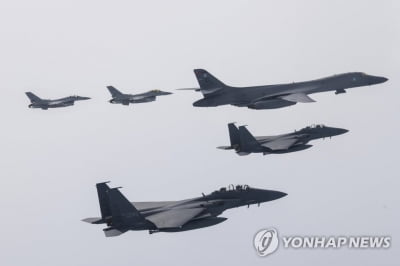 北 "南, '죽음의 백조' B-1B 온다고 '백조의 호수' 된 듯 추태"