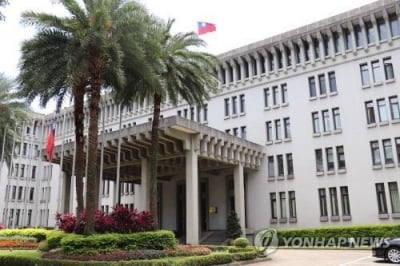 "대만, 가나와 외교 맺으려다 사기당해"…정부 '가짜뉴스' 반박