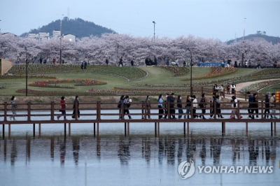 "삭막했던 도로까지 모두 푸른 잔디 정원으로 변했어요"