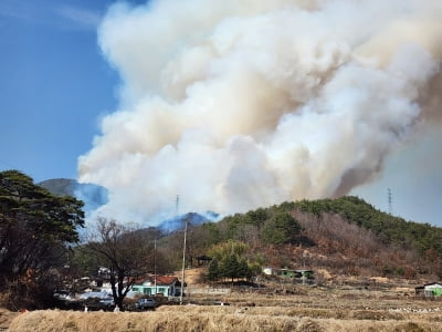 [속보] 산림청, 경남 합천 산불 '대응 3단계' 발령…더 번져