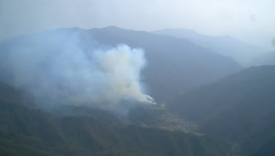 "산불 신고하면 최대 500만원"…잇따른 피해에 산림청 나섰다