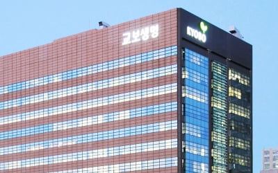 ‘신창재 우군’ 코세어캐피탈 투자금 늘리는 교보생명
