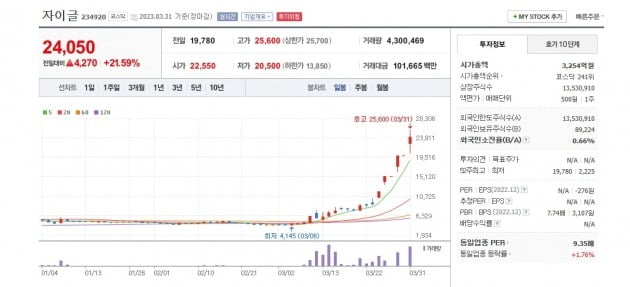 자이글 주가 그래프