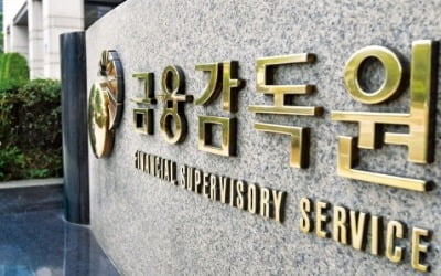 상장사 대용납입 '깜깜이 공시' 막는다…"상세내역 밝혀야"