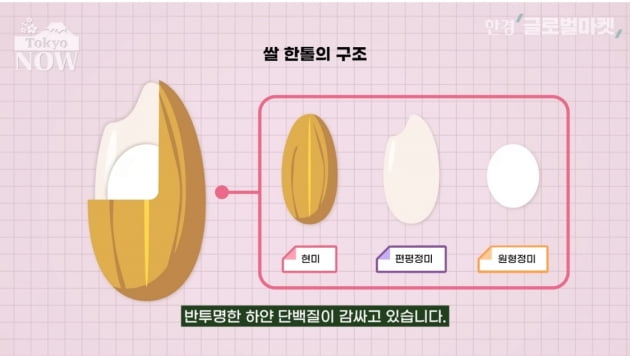 환상의 쌀 돌려깎기…식당 '사케' 한 병이 40만원인 이유 [정영효의 인사이드 재팬]