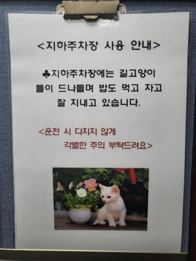 "길고양이 다치지 않게 각별한 주의 부탁" 안내문 갑론을박