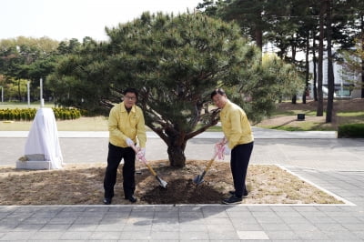 신상진 경기성남시장, 시청 잔디광장에서 '시 승격 50주년 기념식수' 행사 개최