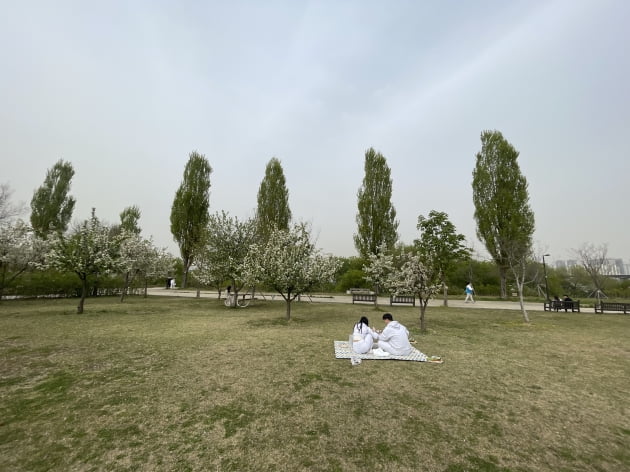 13일 오후 4시께 서울 여의도 한강공원에서 나들이 객이 피크닉을 즐기는 모습./사진=이현주 기자