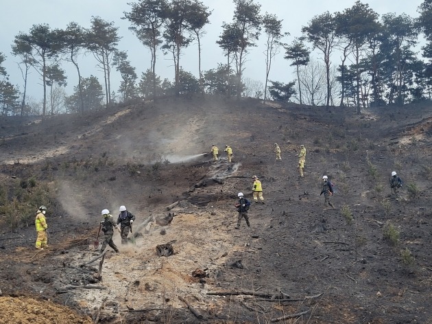 잔불 처리작업을 하고 있는 소방, 산림청 대원들. 홍성소방서 제공
