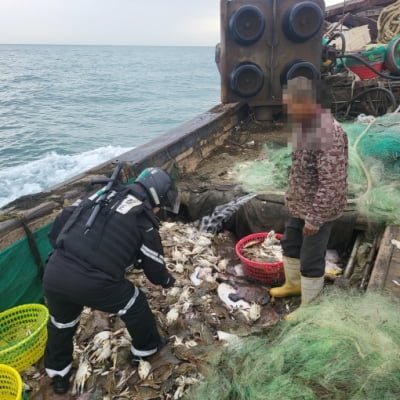 서해안 불법조업 외국어선 또 나포...한 달 새 5척