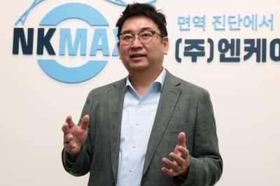 엔케이맥스 자회사, 미국 증시 스팩 상장 위한 흡수 합병 