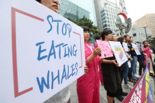 일본의 고래고기 섭취와 포경 규탄하는 환경단체 회원들. /사진=연합뉴스