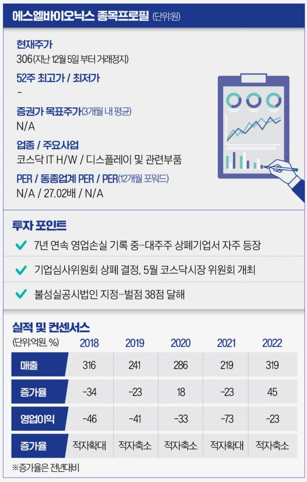 [마켓PRO]한달새 7배뛴 이브이첨단소재 대주주 들여다보니 "투자 유의해야" 