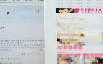 초등학교 홈페이지 학습 링크 눌렀더니…'성인사이트' 연결