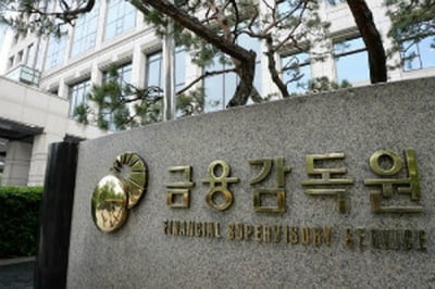 금감원, XBRL 재무제표 작성 관련 지원 체계 마련