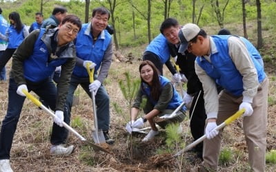 KCC, 고성군에 2년째 나무 1000그루 심었다