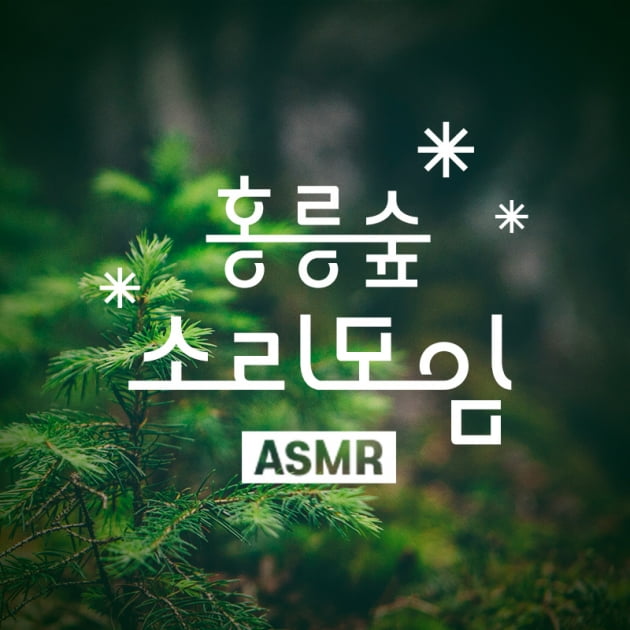 "새·바람 소리 들으며 힐링"…지니뮤직, 홍릉 숲 ASMR 콘텐츠 제공