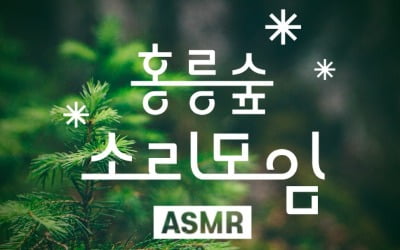 "새·바람 소리 들으며 힐링"…지니뮤직, 홍릉 숲 ASMR 콘텐츠 제공
