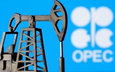 美백악관 "OPEC+의 삭감 현명치 않다"…미·사우디 갈등 고조
