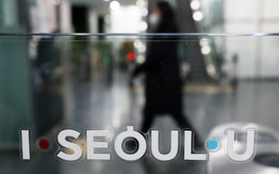 서울시 경력 중단 여성 구직지원금…2500명에 90만원씩
