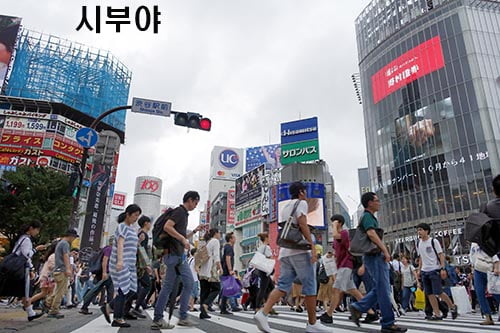 [JAPAN NOW] 하루만에 둘러보는 도쿄 핵심 관광코스