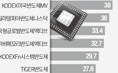 반도체 투자, 삼전보다 글로벌 ETF가 낫네