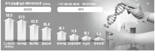 "성장株면서 동시에 방어株"…제약·바이오의 시간 다시 오나