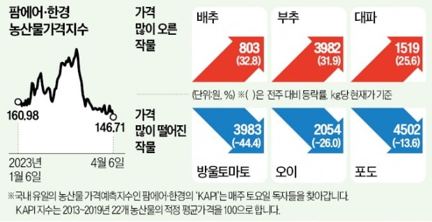 식중독 사태에…방울토마토값 44% '뚝'