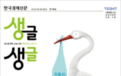 인구 감소 막을 대책