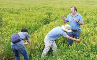 "나는 쌀에 米쳤다"…발렌시아로 간 남자