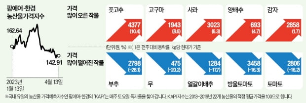 날씨 따뜻해져 작황 개선…부추 가격 28%↓