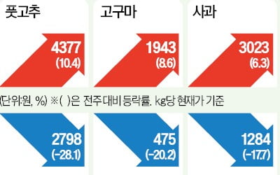 날씨 따뜻해져 작황 개선…부추 가격 28%↓