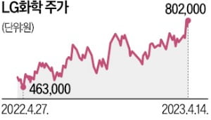 [단독] "국산 전구체로 밸류체인 강화"…LG화학, 배터리 약한고리 끊는다