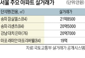 호가 수천만원 껑충…잠실·대치서 '20억 미만 매물' 실종 