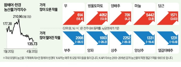 농산물값 안정세에도…무·당근은 겨울한파 여파로 '껑충'