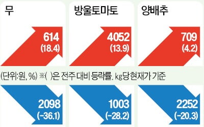 농산물값 안정세에도…무·당근은 겨울한파 여파로 '껑충'