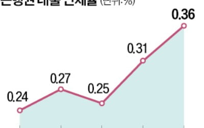 은행 대출 연체율 30개월 만에 '최고'