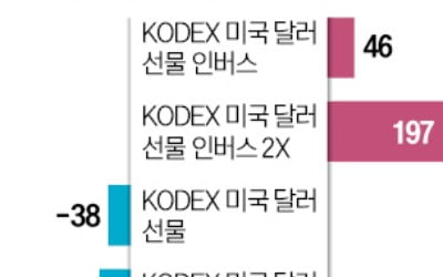 달러 인버스 ETF 베팅하는 개미들