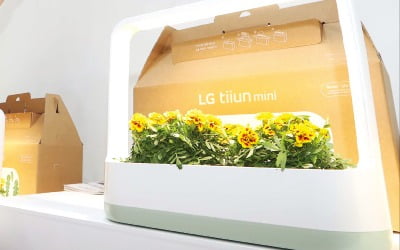 [포토] 꽃박람회에 뜬 ‘LG 틔운’