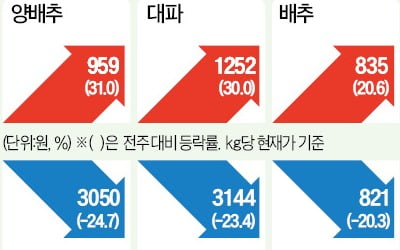 마늘값 하락세 지속…"재배면적 늘고 외식수요 부진"