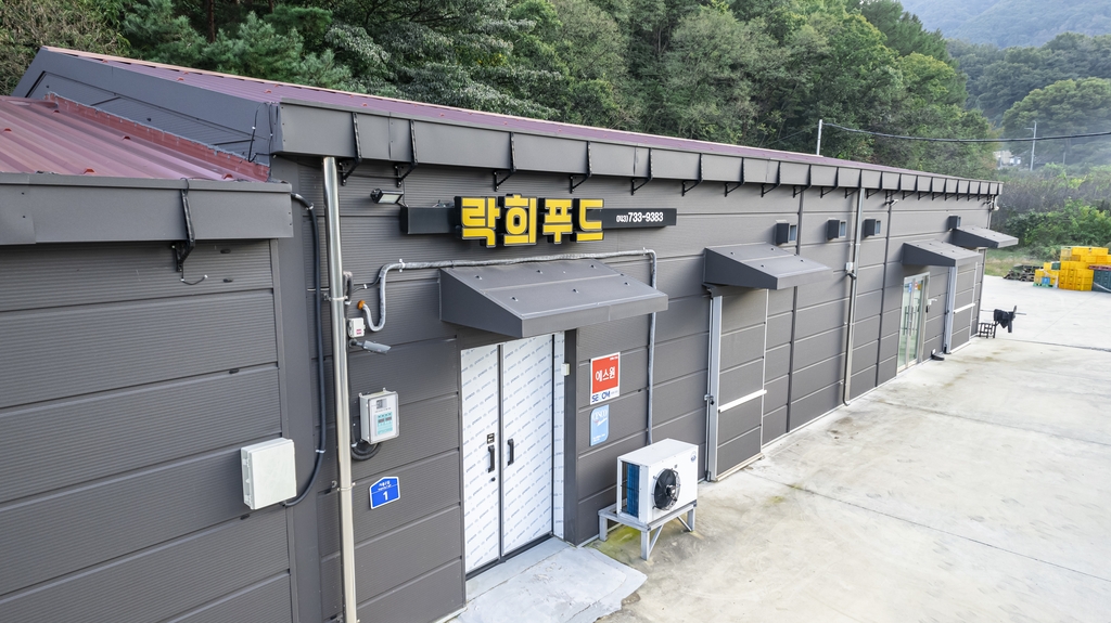 [도전하는 청춘] ⑨ 농산물 초코볼 만드는 전직 호텔 셰프 박준우씨