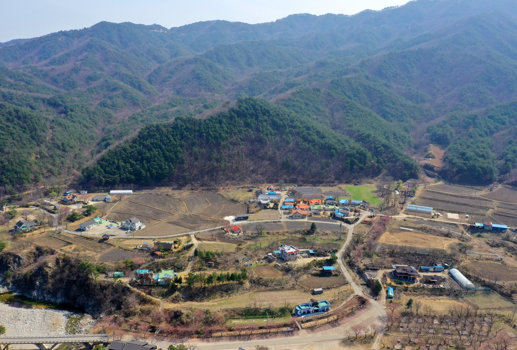 [굽이굽이 별천지] 진부령 고개 넘어 소똥령마을로 봄나들이 가볼까