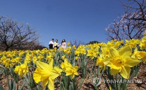 전북 낮 최고 26도…미세먼지 '나쁨'