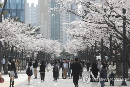 대구·경북 낮 기온 17∼26도…미세먼지 '보통'