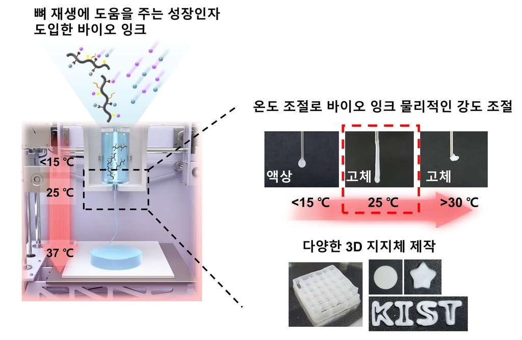 KIST "독성 위험 경화과정 없앤 인공장기용 바이오잉크 개발"